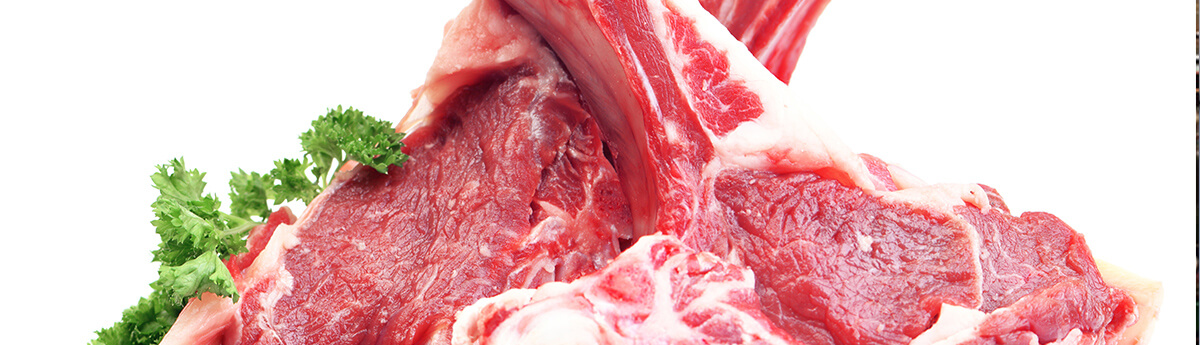 Food Processing