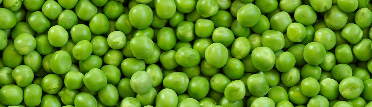 Vegetable Processing