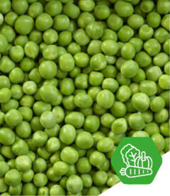 Vegetable Processing